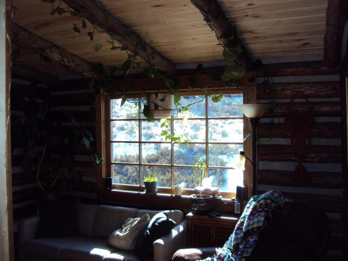 aspen ceiling in log cabin